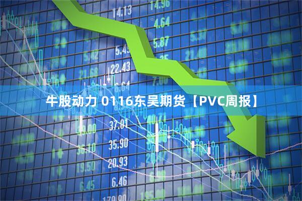 牛股动力 0116东吴期货【PVC周报】