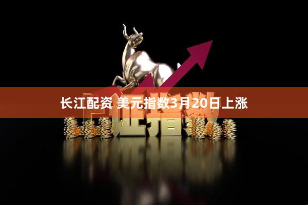 长江配资 美元指数3月20日上涨