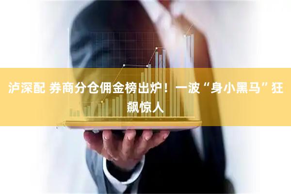 泸深配 券商分仓佣金榜出炉！一波“身小黑马”狂飙惊人
