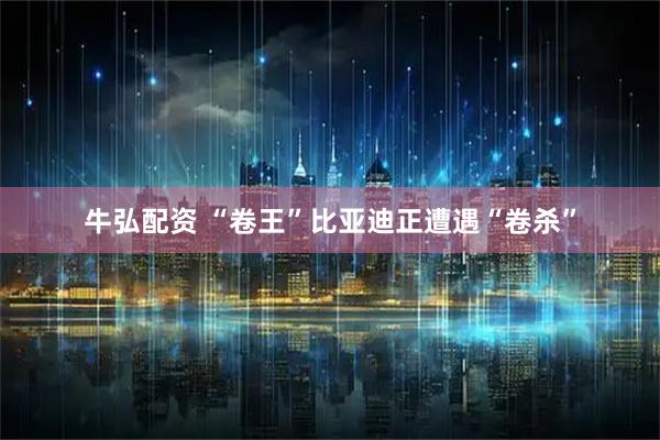 牛弘配资 “卷王”比亚迪正遭遇“卷杀”