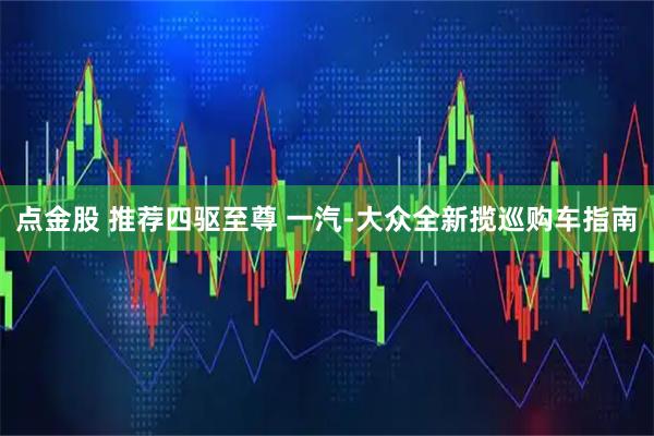 点金股 推荐四驱至尊 一汽-大众全新揽巡购车指南