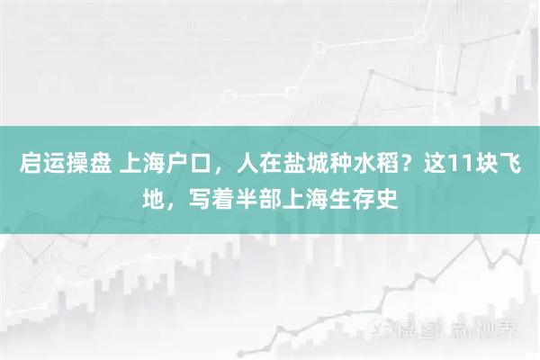 启运操盘 上海户口，人在盐城种水稻？这11块飞地，写着半部上海生存史