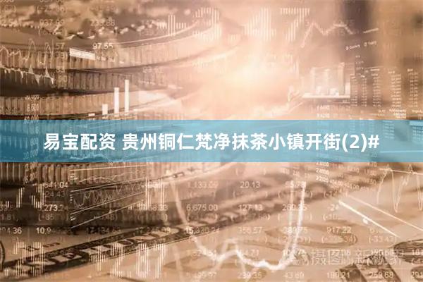 易宝配资 贵州铜仁梵净抹茶小镇开街(2)#