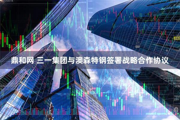 鼎和网 三一集团与澳森特钢签署战略合作协议