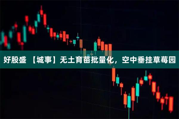 好股盛 【城事】无土育苗批量化，空中垂挂草莓园