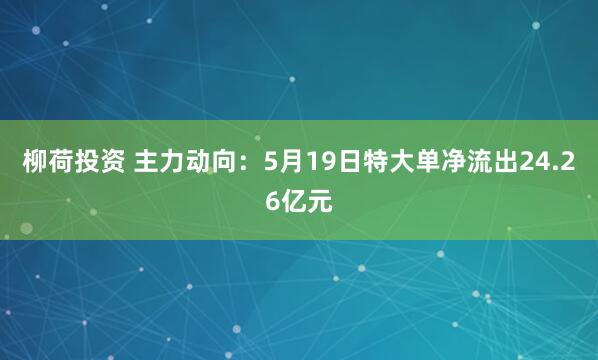 柳荷投资 主力动向：5月19日特大单净流出24.26亿元
