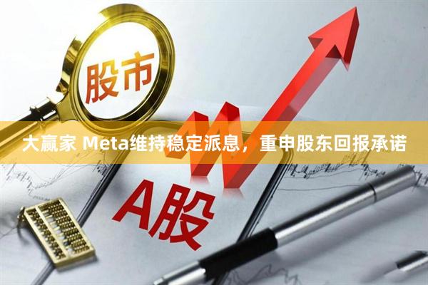 大赢家 Meta维持稳定派息，重申股东回报承诺