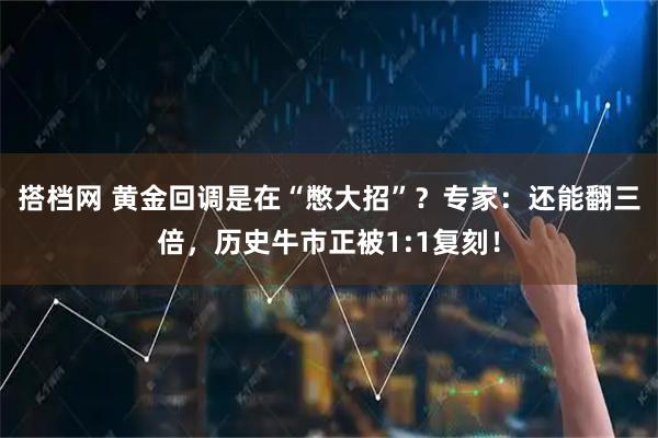 搭档网 黄金回调是在“憋大招”？专家：还能翻三倍，历史牛市正被1:1复刻！