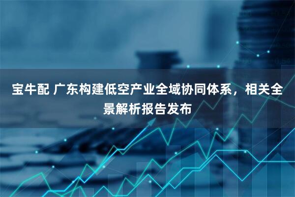 宝牛配 广东构建低空产业全域协同体系，相关全景解析报告发布