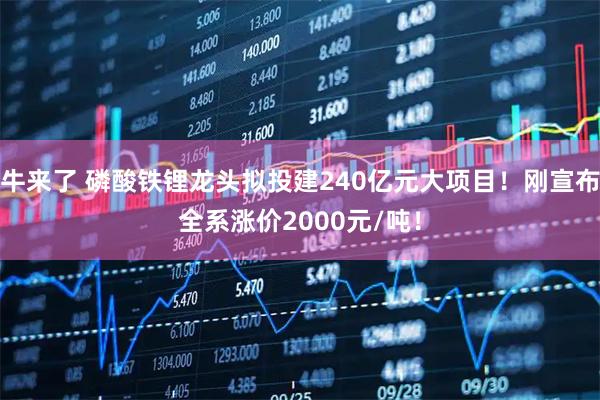 牛来了 磷酸铁锂龙头拟投建240亿元大项目！刚宣布全系涨价2000元/吨！